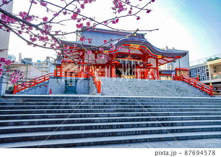 花園神社 87694578