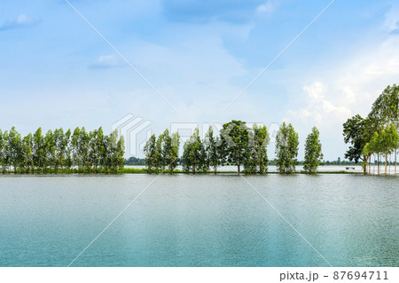 Scenic view of traditional flooded fields like a still lake on floating season in rural Thailand. Landscape of nature in rainy season and storm damage in agriculture. Heavy flood water concept. Scenic view of traditional flooded fields like a still lake on floating season in rural Thailand. Landscape of nature in rainy season and storm damage in agriculture. Heavy flood water concept. 87694711