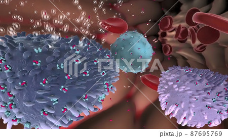 The immune system is: white blood cells, antibodies, complement system, lymphatic system. 87695769