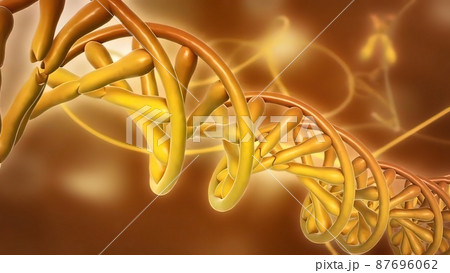 DNA or deoxyribonucleic acid DNA or deoxyribonucleic acid 87696062