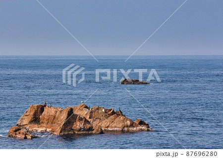 海洋汚染(越前海岸) 海洋汚染(越前海岸) 87696280