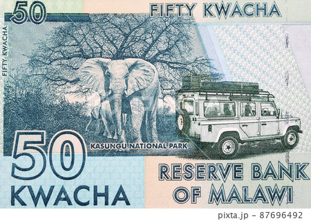 Kasungu National Park from Malawian kwacha Kasungu National Park from Malawian kwacha 87696492