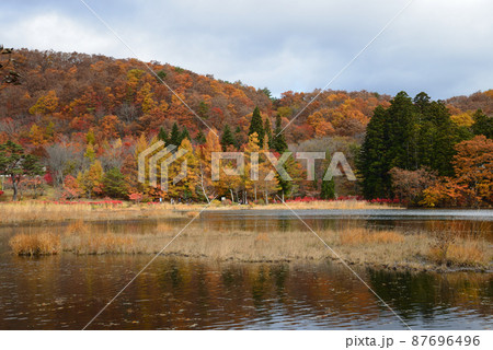 観音沼森林公園の紅葉　2021-11-3　＃21 87696496