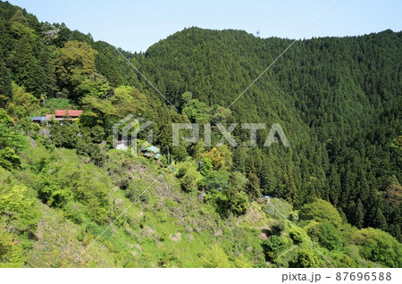 新緑の檜原村(時坂峠付近) 新緑の檜原村(時坂峠付近) 87696588