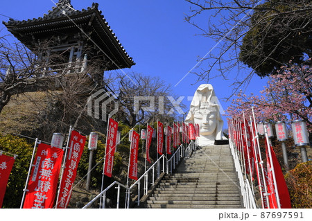 3月 鎌倉1339大船観音と河津桜・大船観音寺 3月 鎌倉1339大船観音と河津桜・大船観音寺 87697591