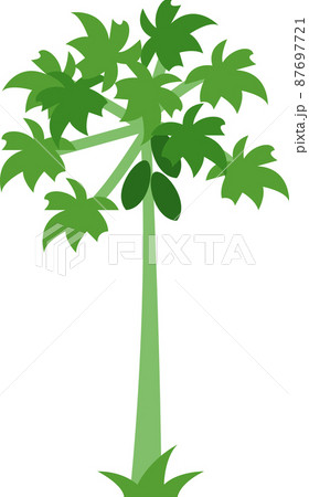 papaya tree flat illustration papaya tree flat illustration 87697721
