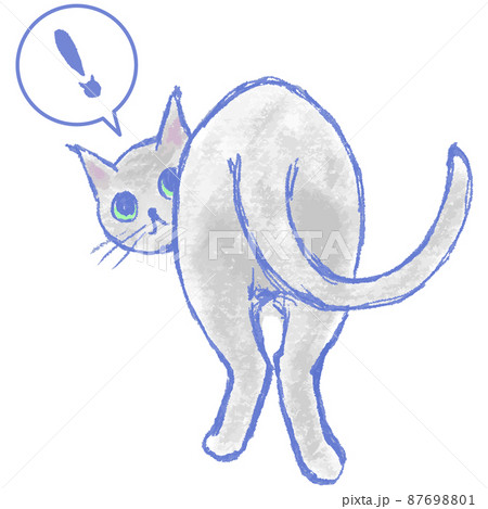 後ろ向きポーズから、振り返ってこちらを見ているグレーのネコのイラスト 87698801