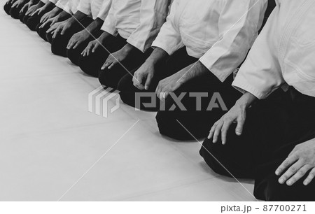 People practicing aikido in a dojo background. People practicing aikido in a dojo background. 87700271