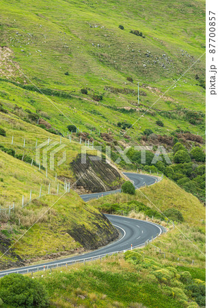 ニュージーランド ダニーデンのロイヤル・アルバトロス・センターから見える曲がりくねった山道 ニュージーランド ダニーデンのロイヤル・アルバトロス・センターから見える曲がりくねった山道 87700857