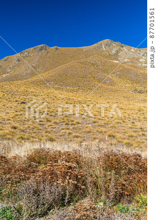 ニュージーランド　オタゴ地方とカンタベリー地方にまたがる峠、リンディス・パス 87701561