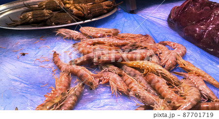 Fresh Seafood at Central Food Market Fresh Seafood at Central Food Market 87701719