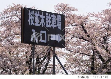 桜並木駐車場 桜並木駐車場 87701746