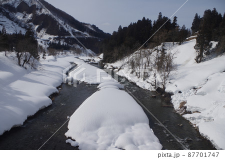 カルガモ音楽団 カルガモ音楽団 87701747
