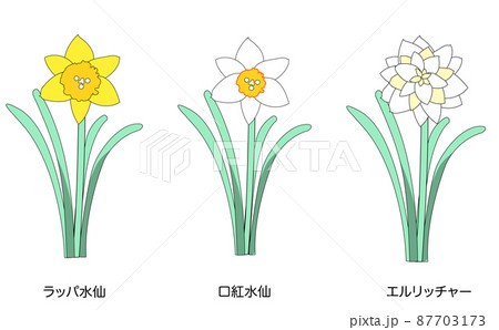 春のスイセンの花のセット:ラッパ水仙、口紅水仙、エルリッチャー 春のスイセンの花のセット:ラッパ水仙、口紅水仙、エルリッチャー 87703173