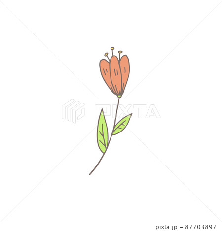 Spring tulip flower doodle style hand drawn vector illustration isolated. Spring tulip flower doodle style hand drawn vector illustration isolated. 87703897