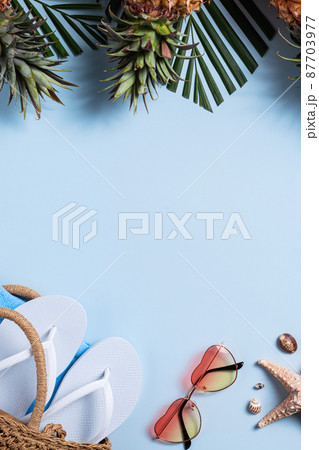 夏 サマーイメージ 夏イメージ 87703977