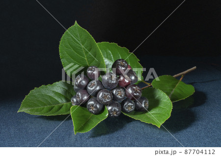 Blackenning rowanberry with green sheet on table with dark background 87704112