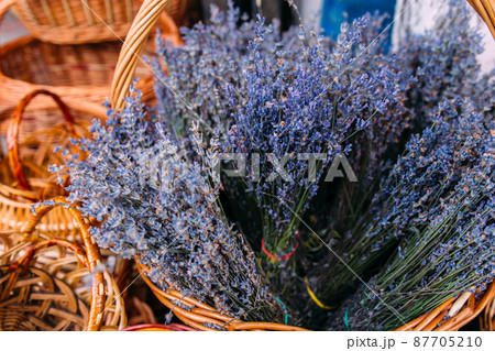 Bunches of fresh, purple aromatic lavender in gift shop Bunches of fresh, purple aromatic lavender in gift shop 87705210