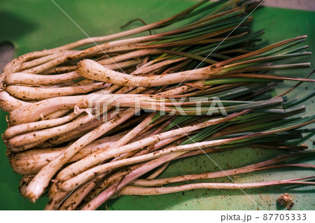 採れたての島らっきょう05 採れたての島らっきょう05 87705333