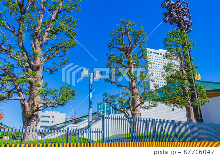 【東京の都市風景】両国国技館 【東京の都市風景】両国国技館 87706047