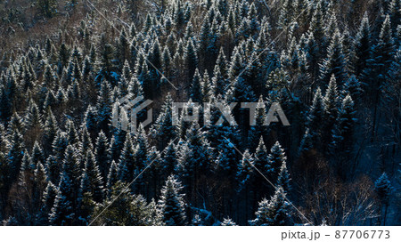 Aerial drone view in mountain forest. Winter landscape. Snowy Fir and Pine trees. Snowy tree branch in a view of the winter forest. Winter landscape, forest, trees covered with frost, snow. Aerial drone view in mountain forest. Winter landscape. Snowy Fir and Pine trees. Snowy tree branch in a view of the winter forest. Winter landscape, forest, trees covered with frost, snow. 87706773