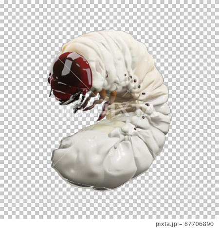 Beetle larva 87706890