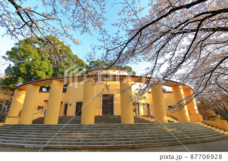 旧多摩聖蹟記念館 桜 旧多摩聖蹟記念館 桜 87706928