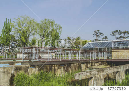 公園 仙遊島公園 温室 87707330