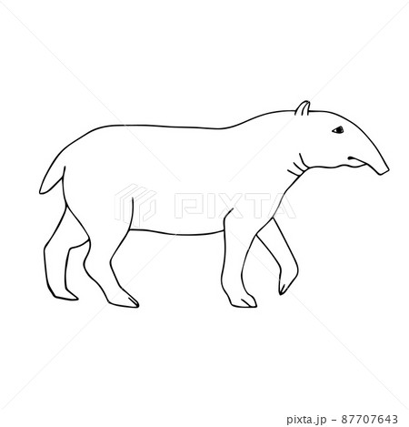 Vector hand drawn doodle sketch tapir 87707643