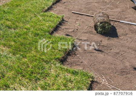Laying sod for new garden lawn - turf laying concept 87707916