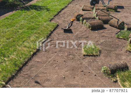 Laying sod for new garden lawn - turf laying concept Laying sod for new garden lawn - turf laying concept 87707921
