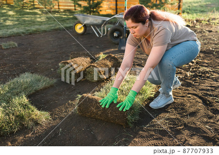 Young woman laying sod for new garden lawn - turf laying concept 87707933