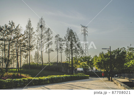 公園 仙遊島公園 風景 87708021