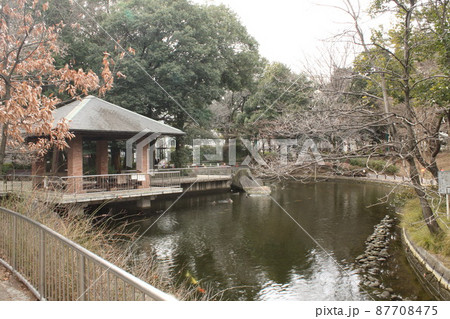 東高円寺駅 蚕糸の森公園 池 東高円寺駅 蚕糸の森公園 池 87708475