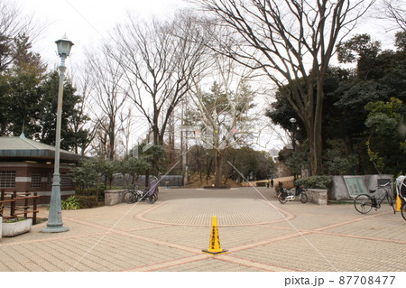 東高円寺駅　蚕糸の森公園　広場 87708477