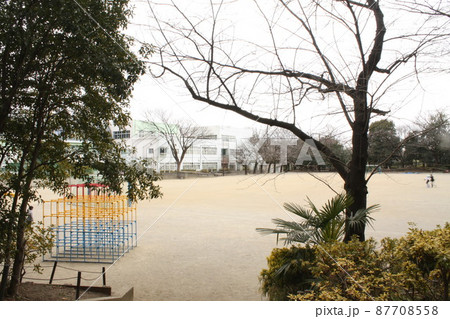 蚕糸の森公園 東高円寺駅 広場 蚕糸の森公園 東高円寺駅 広場 87708558