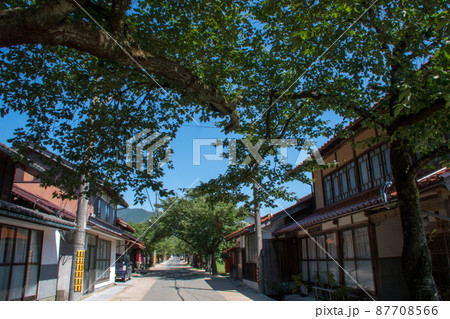 岡山県新庄村　がいせん桜通り 87708566