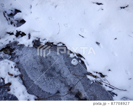 里山の景色 冬、薄氷の張った水辺 仙台市青葉山 里山の景色 冬、薄氷の張った水辺 仙台市青葉山 87708927