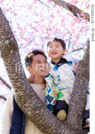 家族写真 父子で花見 七五三 家族写真 父子で花見 七五三 87709039