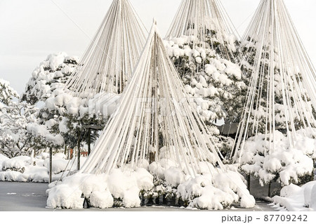 雪景色の兼六園 雪景色の兼六園 87709242