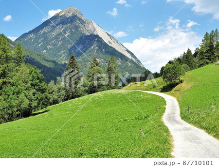 スイス ツール･ド･モンブラン 87710101