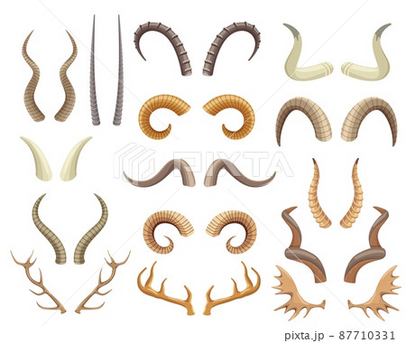 Animal horns and antlers, antelope, ram, moose, reindeer horn. Wild animals hunting trophies, deer antler, buffalo and goat horns vector set 87710331