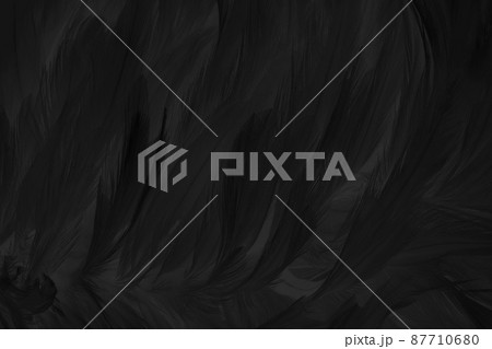 Beautiful black grey bird feathers pattern texture background. Beautiful black grey bird feathers pattern texture background. 87710680