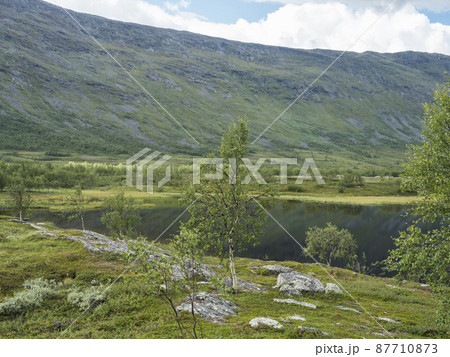 Beatiful northern artic landscape, tundra in Swedish Lapland with dark lake water,green hills and mountains and birch trees at Padjelantaleden hiking trail. Summer day, blue sky, white clouds Beatiful northern artic landscape, tundra in Swedish Lapland with dark lake water,green hills and mountains and birch trees at Padjelantaleden hiking trail. Summer day, blue sky, white clouds 87710873