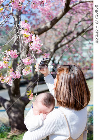 家族写真　花見 87710960