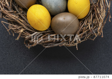 Painted Easter eggs in birds nest on gray background. top view. Close up. Easter 87711074