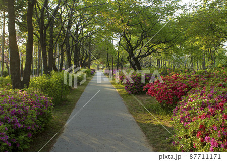 公園 仙遊島公園 トレイル 87711171