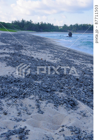 軽石 奄美大島に流れ着いた軽石 福徳岡ノ場 噴火 海底火山 軽石 奄美大島に流れ着いた軽石 福徳岡ノ場 噴火 海底火山 87711503