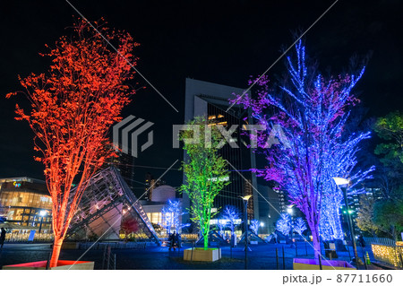 埼玉県川口市 川口駅西口 川口西公園のイルミネーション 87711660