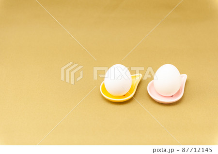 観葉植物 観葉植物 87712145